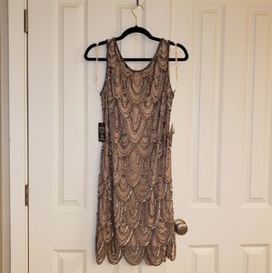 1920's Prelude Flapper Pink Dress